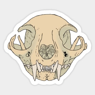 Cat Skull Natural Sticker